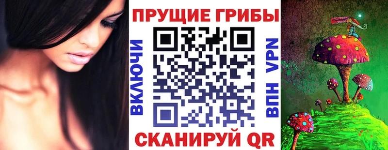 Псилоцибиновые грибы Cubensis  Купить  Судогда 